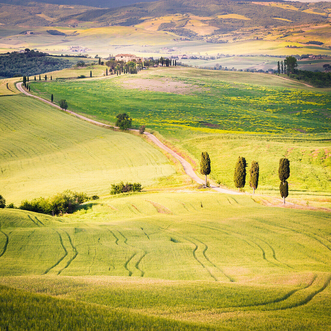 Der grüne Hügel des Val d'Orcia, Toskana, Italien