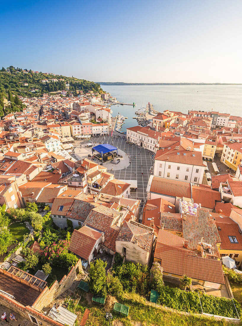 Piran, Slovenian Istria, Slovenia, Elevated view of the city