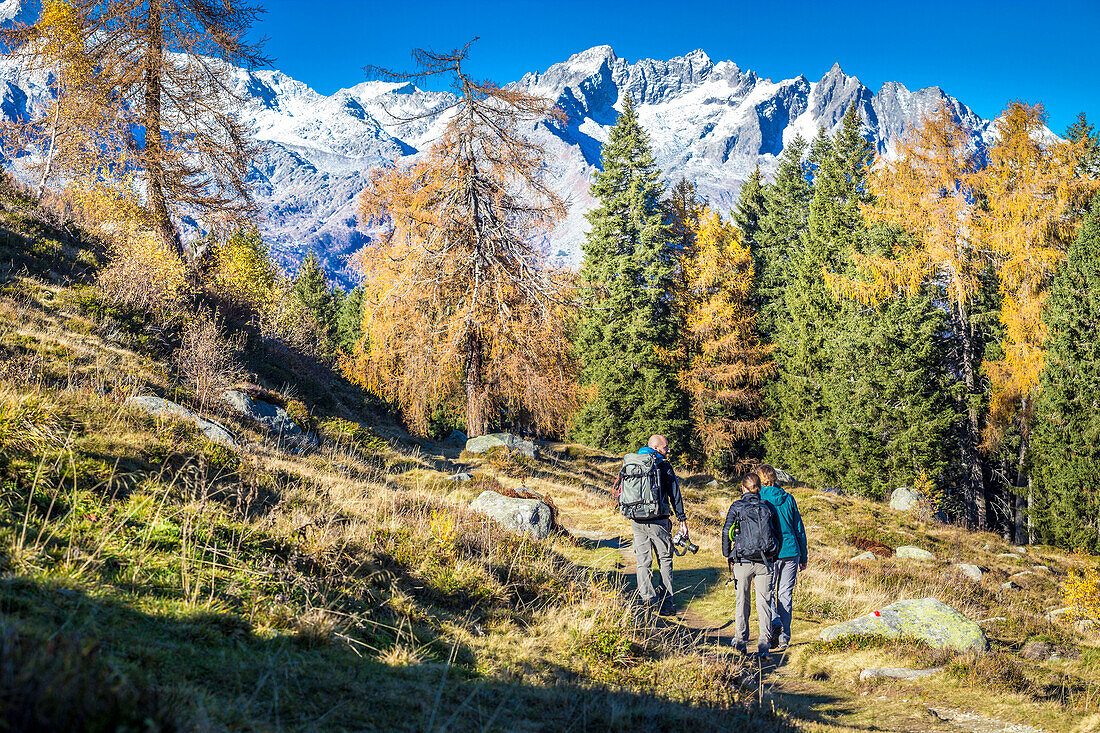 Einige Wanderer in den Brenta-Dolomiten-Nationalpark, Südtirol, Italien