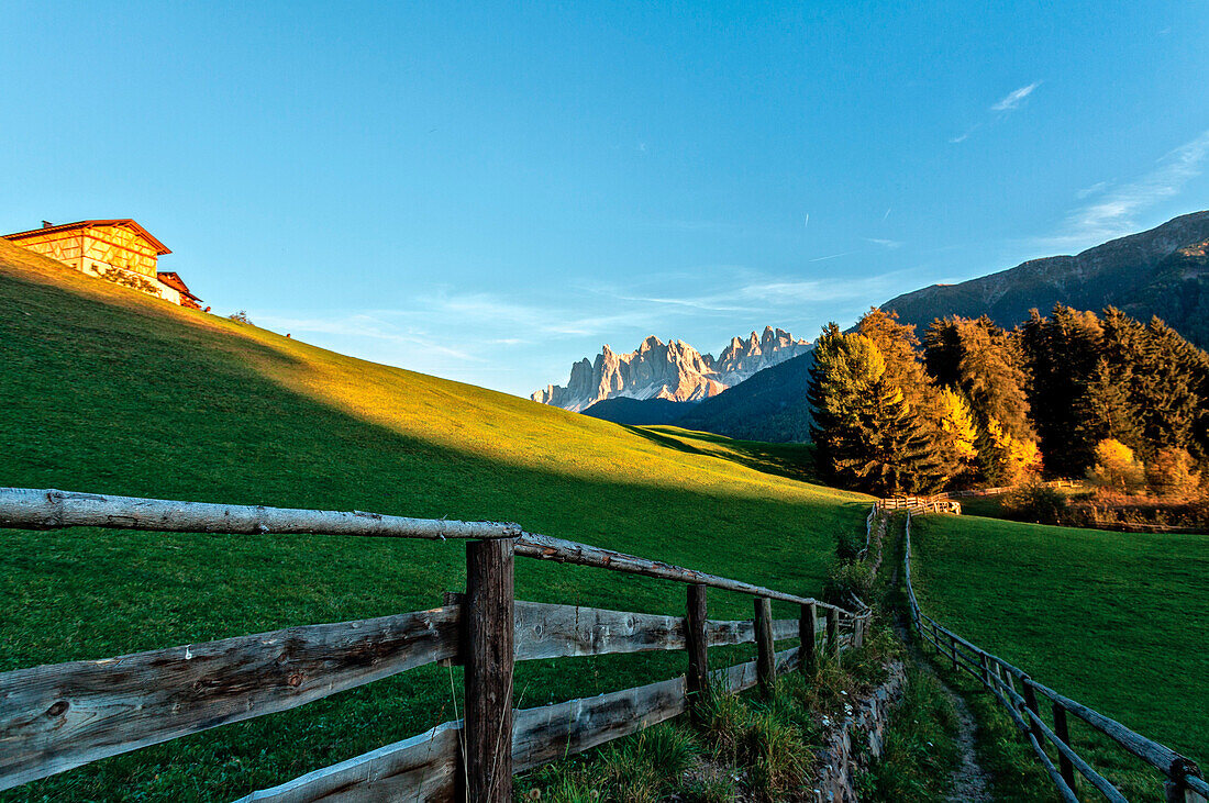 Herbstliche Landschaft in einer Malga ot Funes Valley.with Odle im Hintergrund, Dolomiten, Südtirol, Italien, Europa
