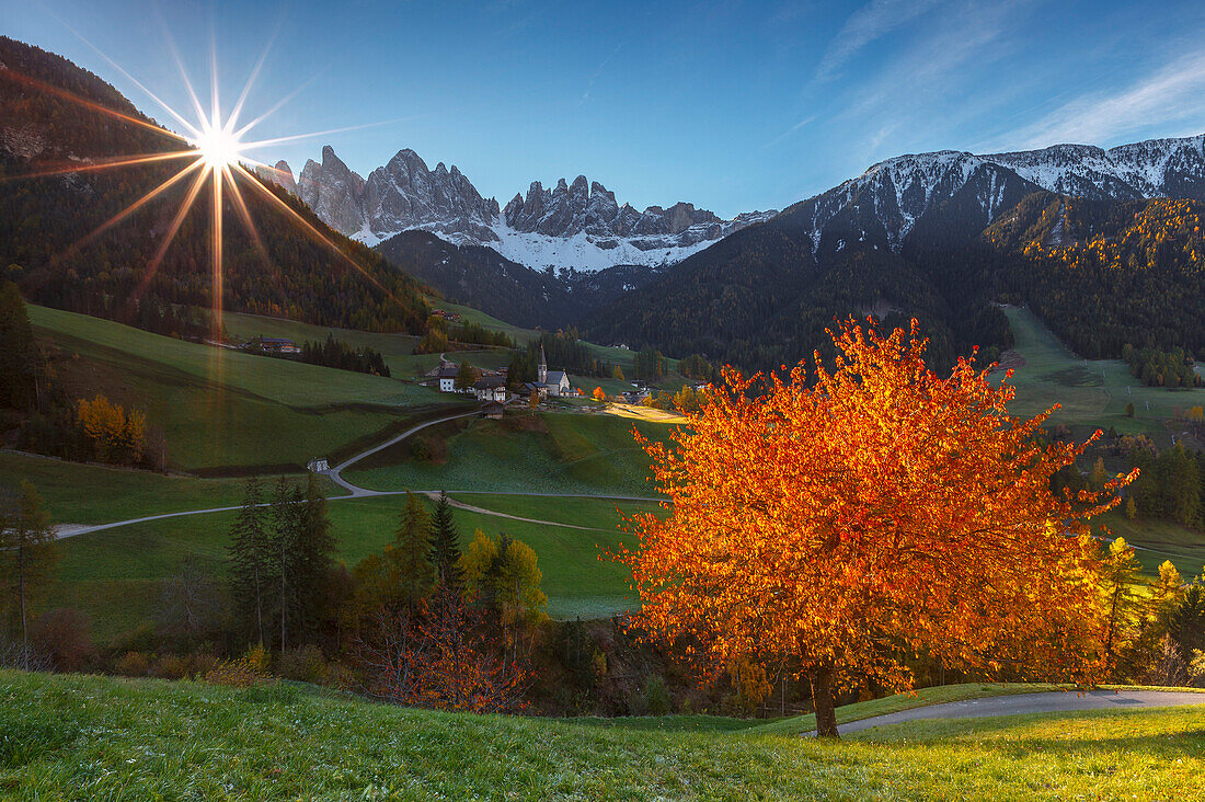 Herbstzeit in Santa Magdalena, Funes Tal, Odle Dolomiten, Region Südtirol, Trentino Alto Adige, Provinz Bozen, Italien, Europa
