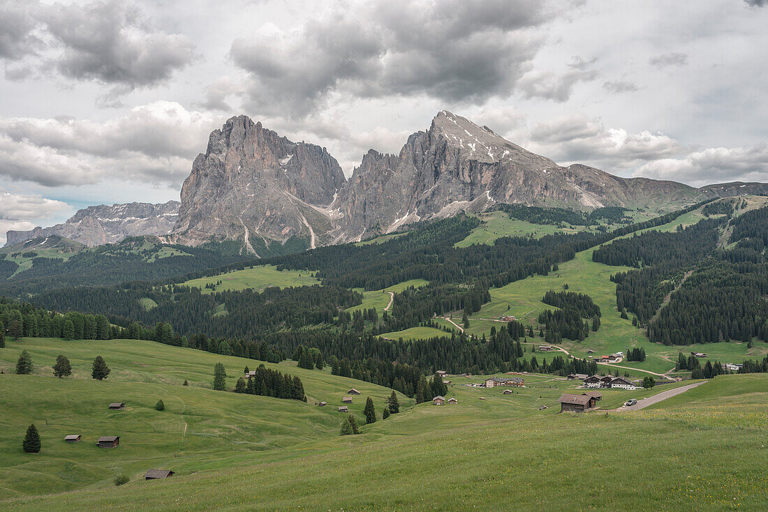 Seiser Alm, Dolomiten, Südtirol, Italien. Blick von der Seiser Alm auf die Gipfel Langkofel und Sassopiatto / Plattkofel
