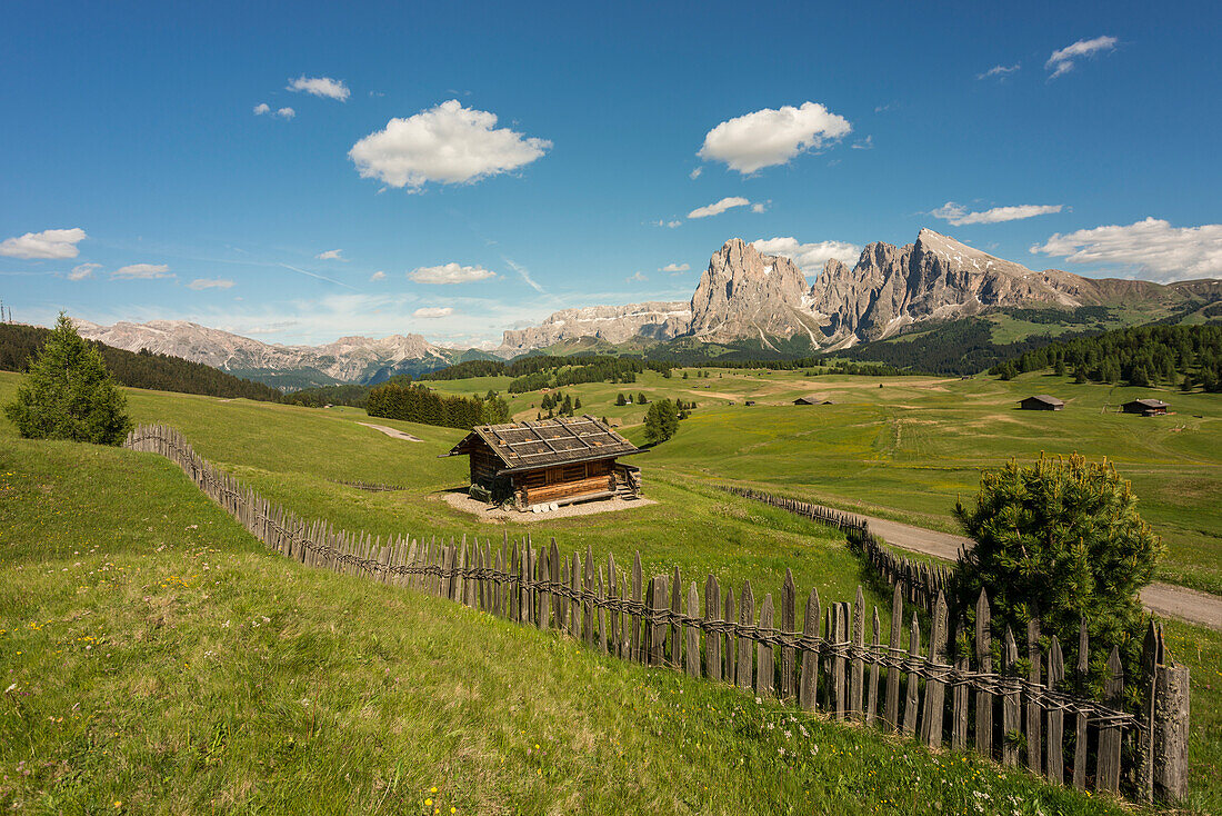 Alpe di Siusi/Seiser Alm, Dolomites, South Tyrol, Italy.