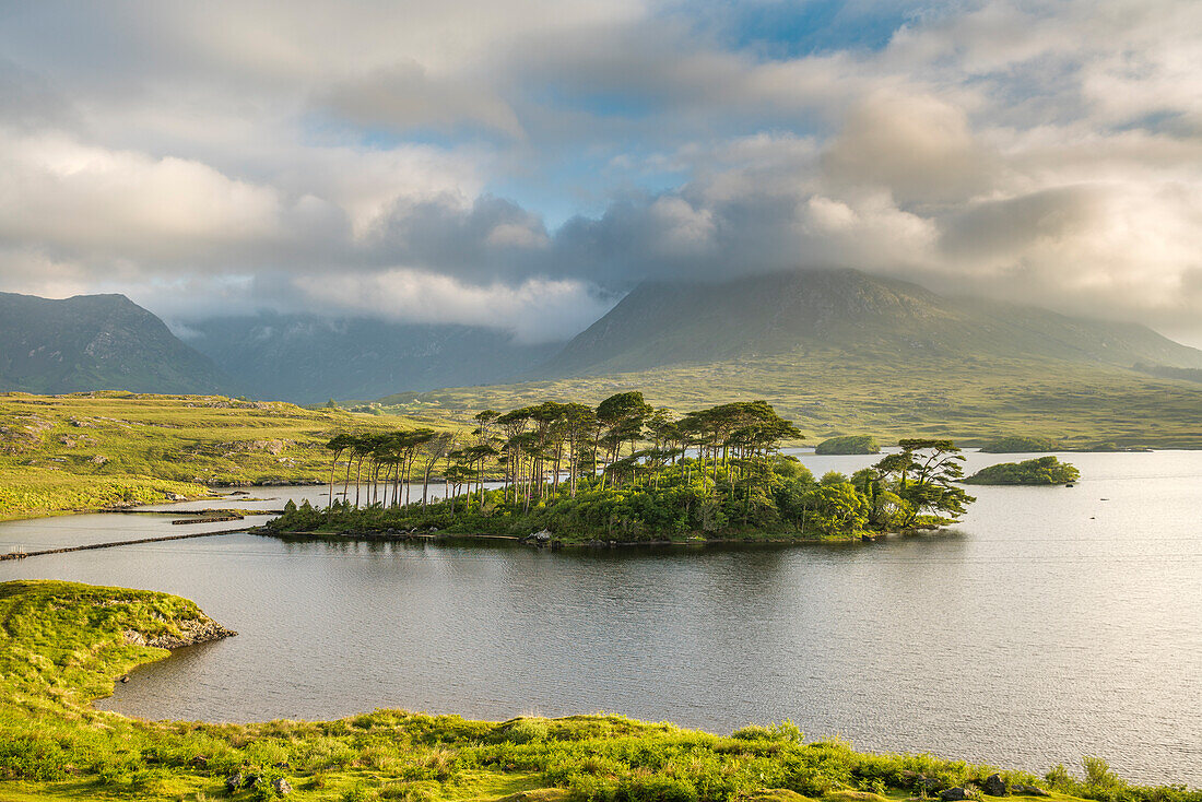 Pine Island auf Derryclare Lake. Connemara, Co. Galway, Connacht Provinz, Irland.