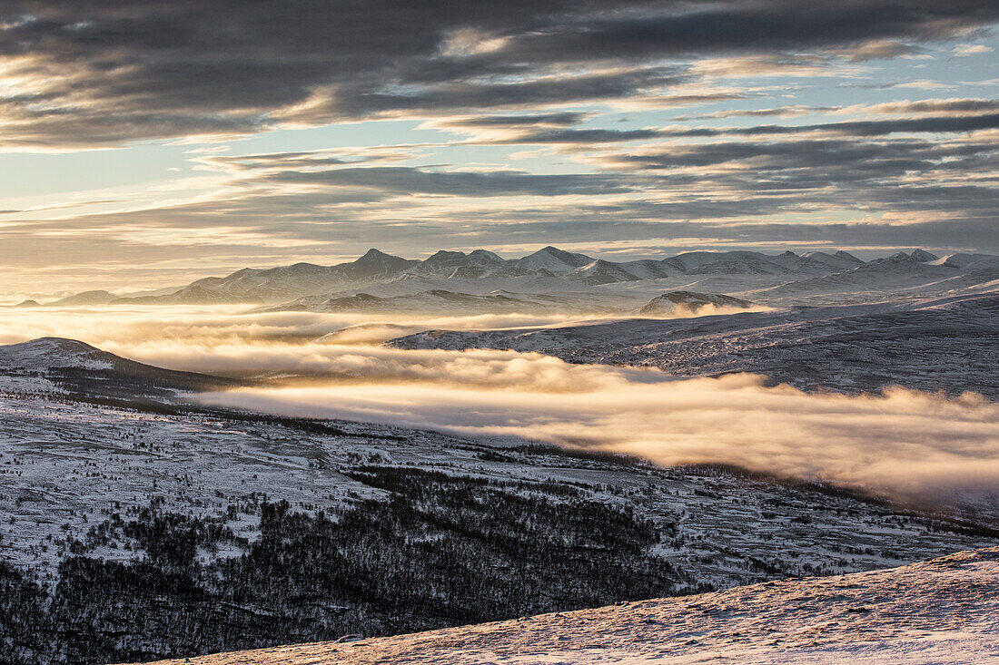 Nationalpark Dovrefjell, Oppdal, Norwegen