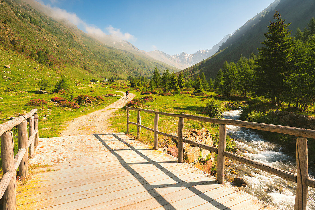 Mountainbike in Val Grande, Vezza d'Oglio, Nationalpark Stilfser Joch, Provinz Brescia, Italien, Europa.