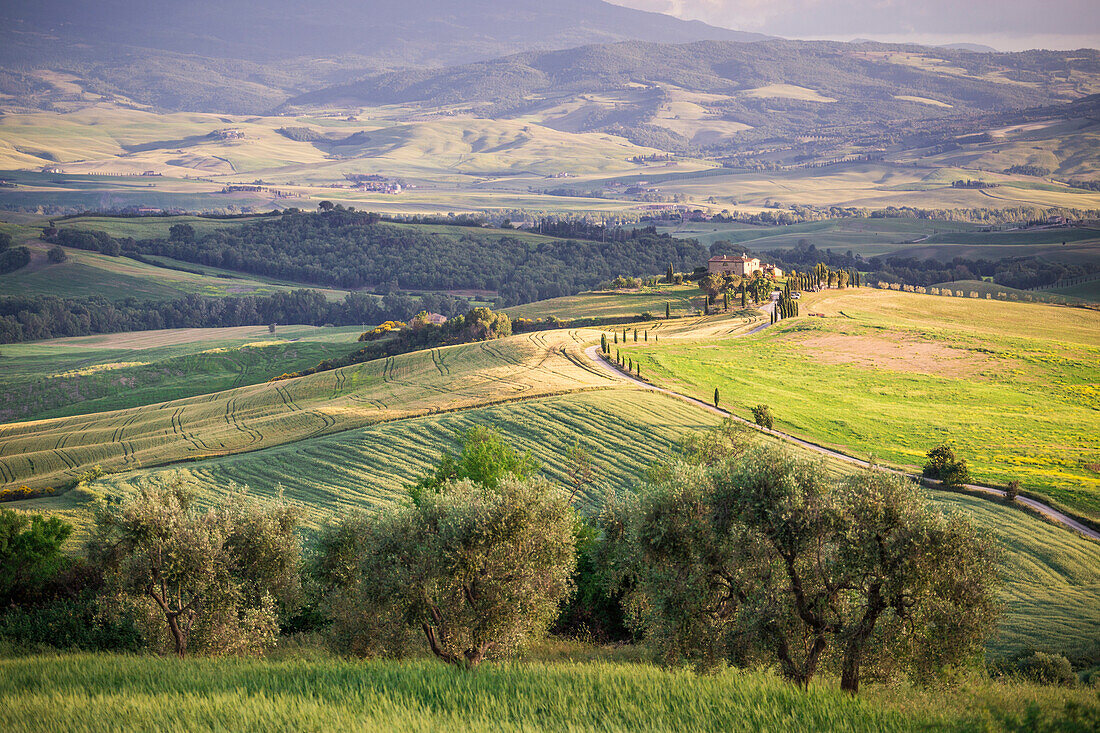 Die grünen Hügel des Val d'Orcia, Toskana, Italien