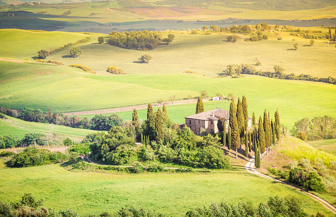 Das berühmte Podere Belvedere im Sonnenlicht mit grünen Hügeln. Val d'Orcia, Provinz von Siena, Toskana, Italien.