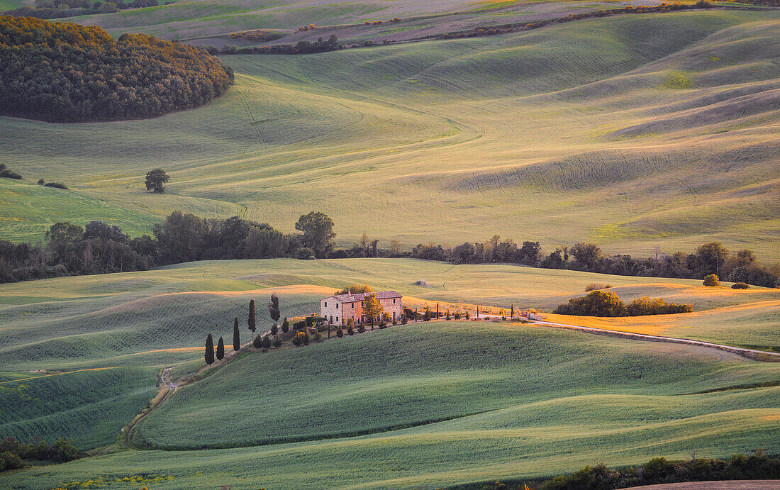 The green hills of Val d'Orcia, Tuscany, Italy