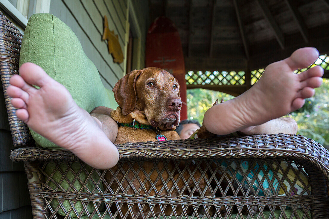 Ein Hund liegt zwischen den Füßen seines Besitzers an einem Sommertag.