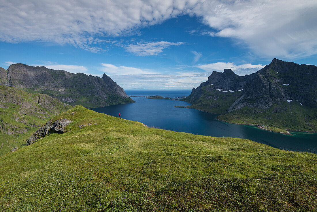 Weibliche Wanderer geht auf Hügel über Reinefjord, Moskenesøy, Lofoten, Norwegen