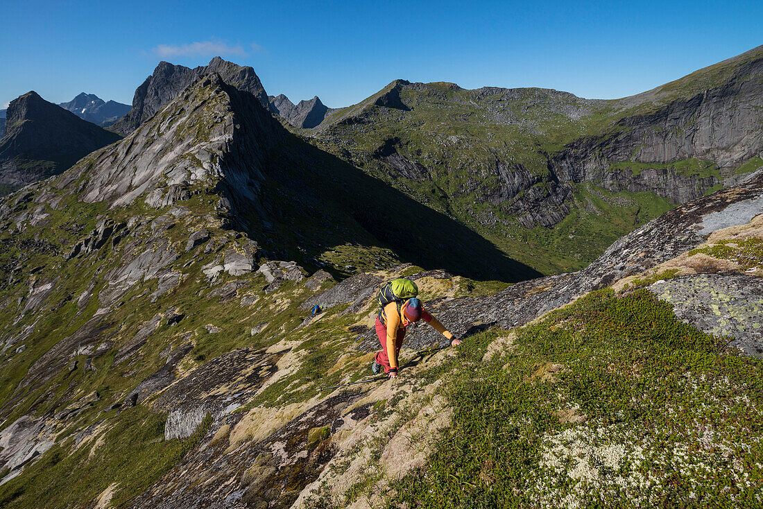 Female hiker climbing ridge towards summit of Nonstind mountain peak, MoskenesÃ¸y, Lofoten Islands, Norway