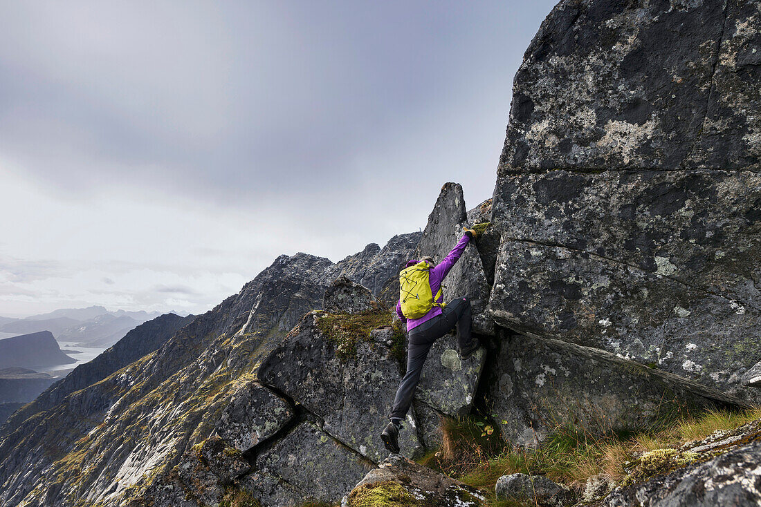 Female hiker climb steep rocky ridge towards Ã¿sthimmeltind mountain peak, VestvÃ‚gÂ¯y, Lofoten Islands, Norway