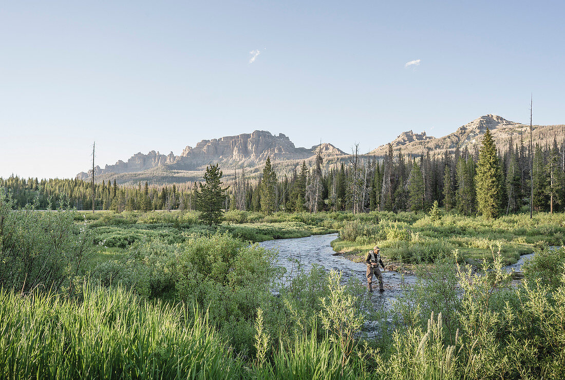 Man fliegt im Brooks Lake Creek im Shoshone National Forest Wyoming