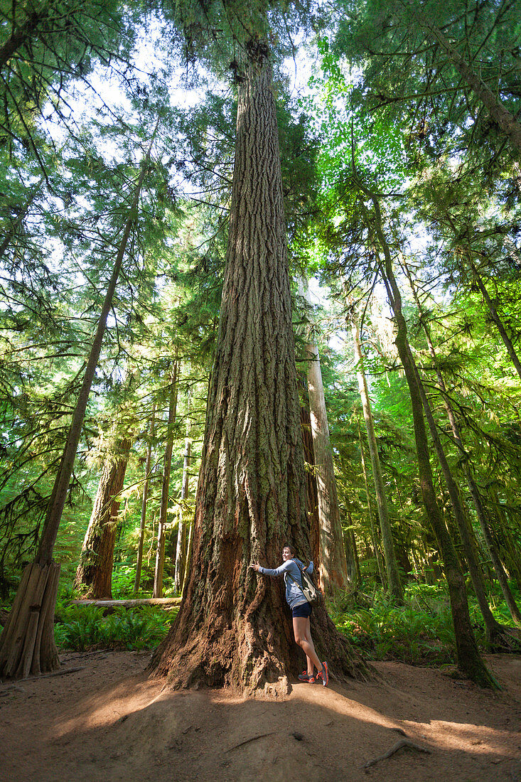 A young woman hugs an ancient Douglas Fir in Cathedral Grove, Cathedral Grove, British Columbia.