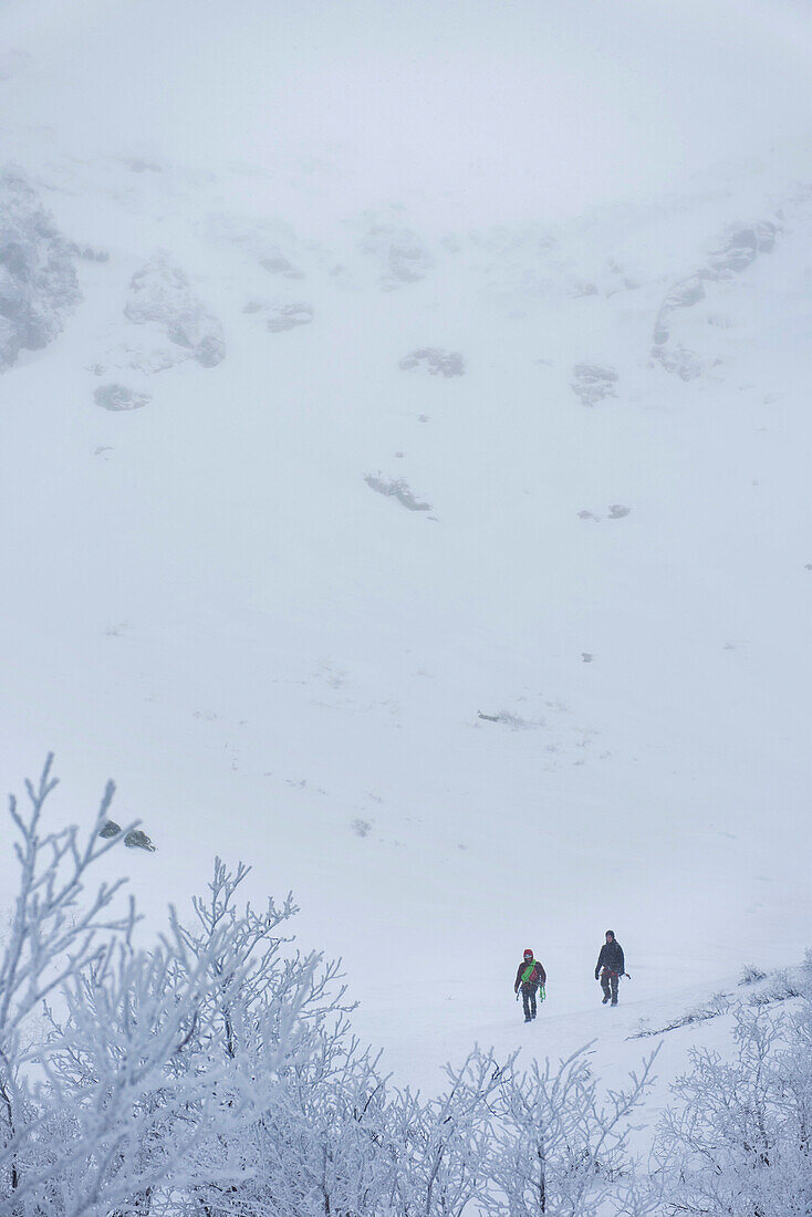 Two ice climbers leaving the floor of Tuckerman Ravine.