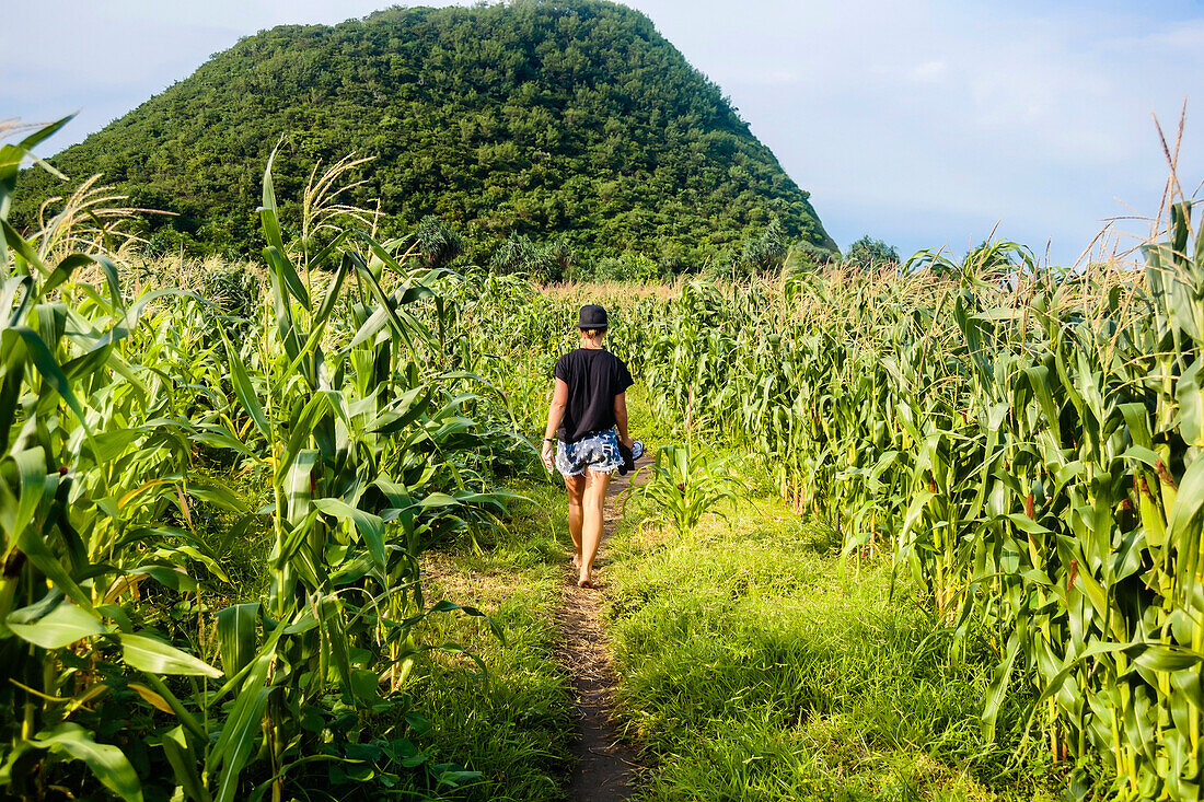 Junge Frau geht auf Fußweg durch Maisfeld