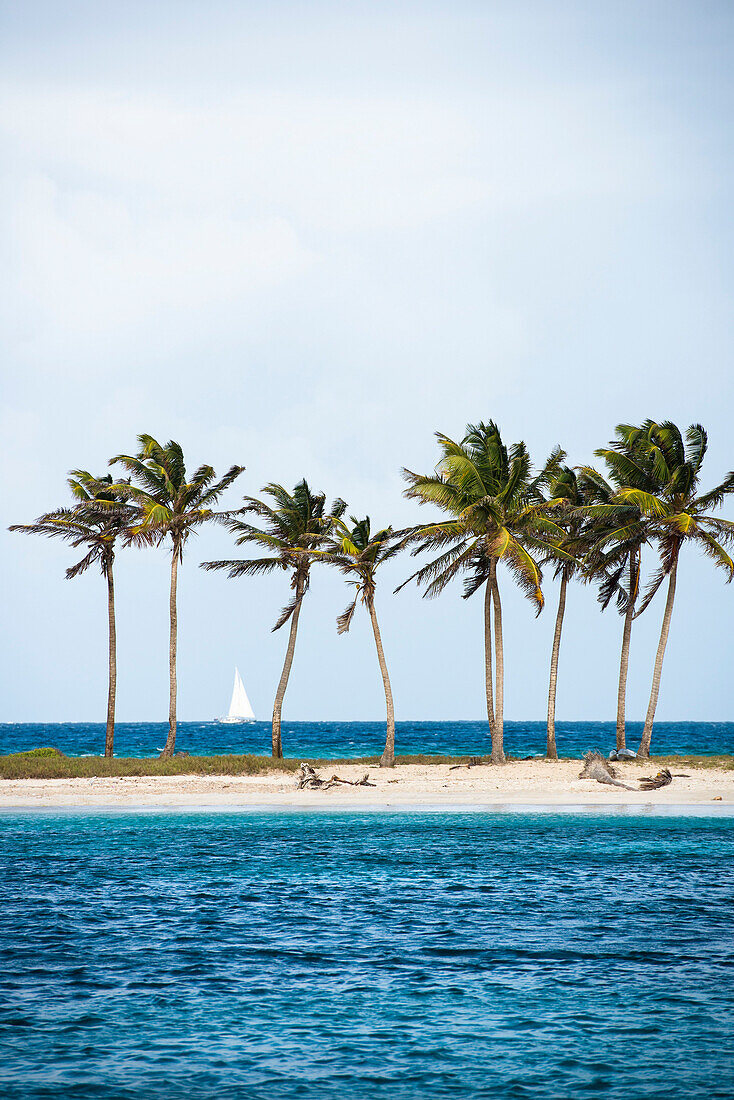 Sailing cruise through the Windward Islands of the Lesser Antilles of the Caribbean