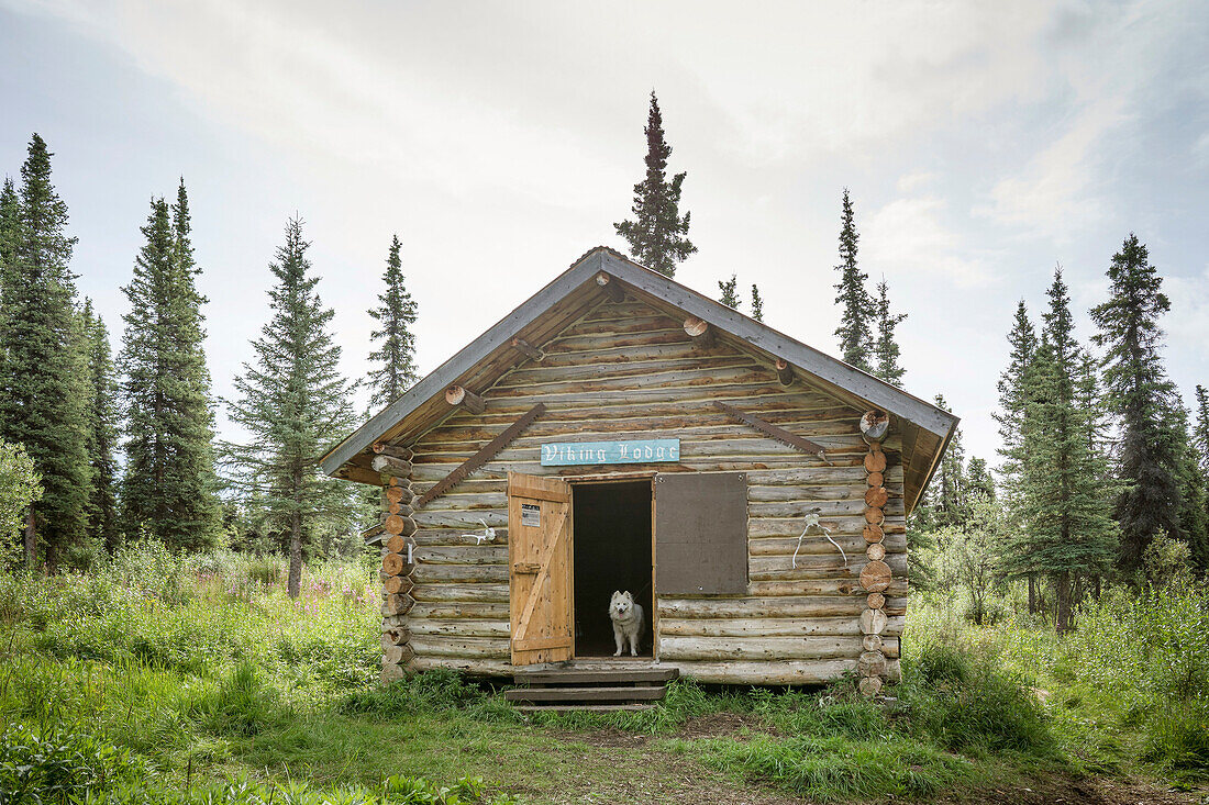 Viking Lodge öffentliche Nutzung Kabine Wrangell-St. Elias Nationalpark und Reservat