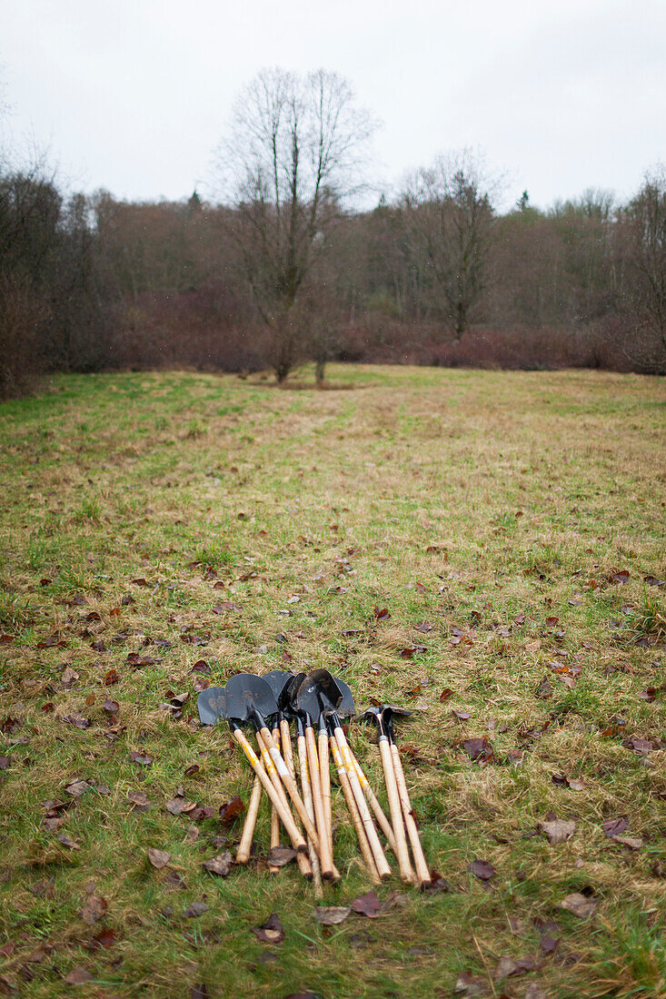 A pile of shovels in an open field.