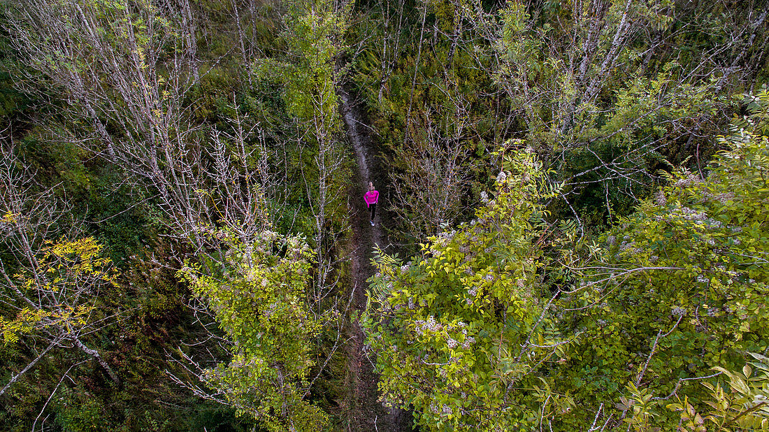 Luftaufnahme eines Läufers mit rosa Spitze läuft auf einer Spur im Wald im Herbst, in Clarafond-Arcine, Rhône-Alpes in Frankreich