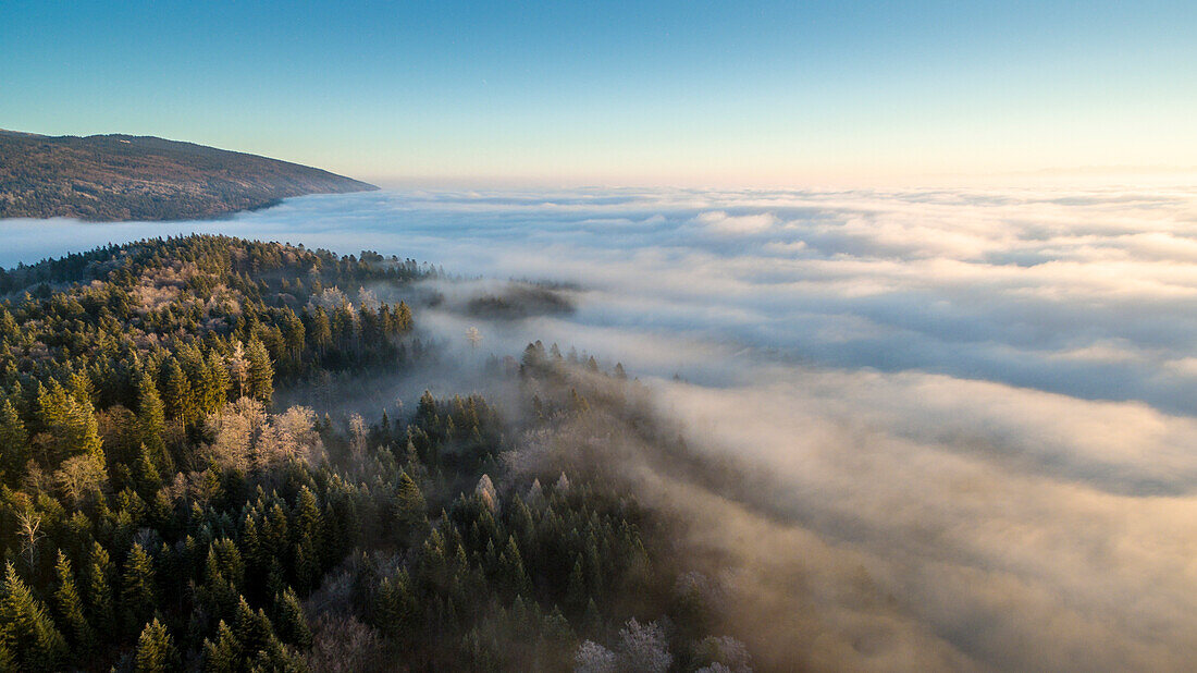 beautiful sunrise on a sea of fog and the mountains covered with forests of Spruce in the Vaud Canton, Switzerland