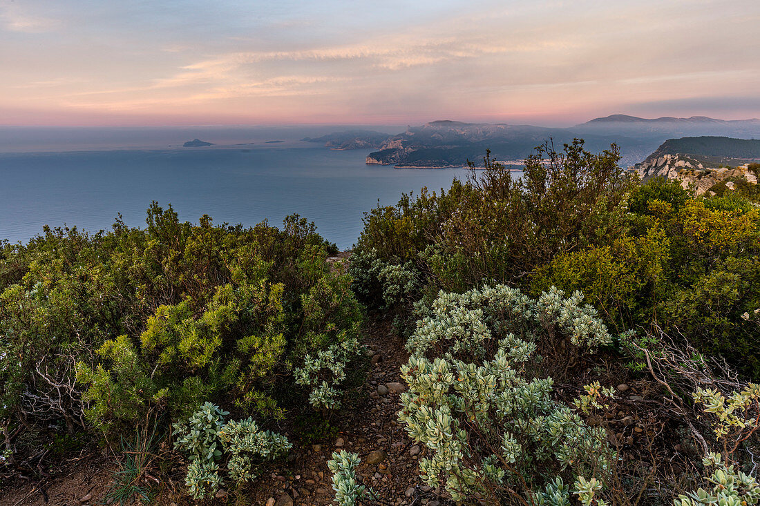 schöne Aussicht bei Sonnenaufgang auf das Mittelmeer mit Garrigue Vegetation im Vordergrund, blauer und rosa Himmel und Calanques im Hintergrund, in der Nähe von La Ciotat, Südfrankreich