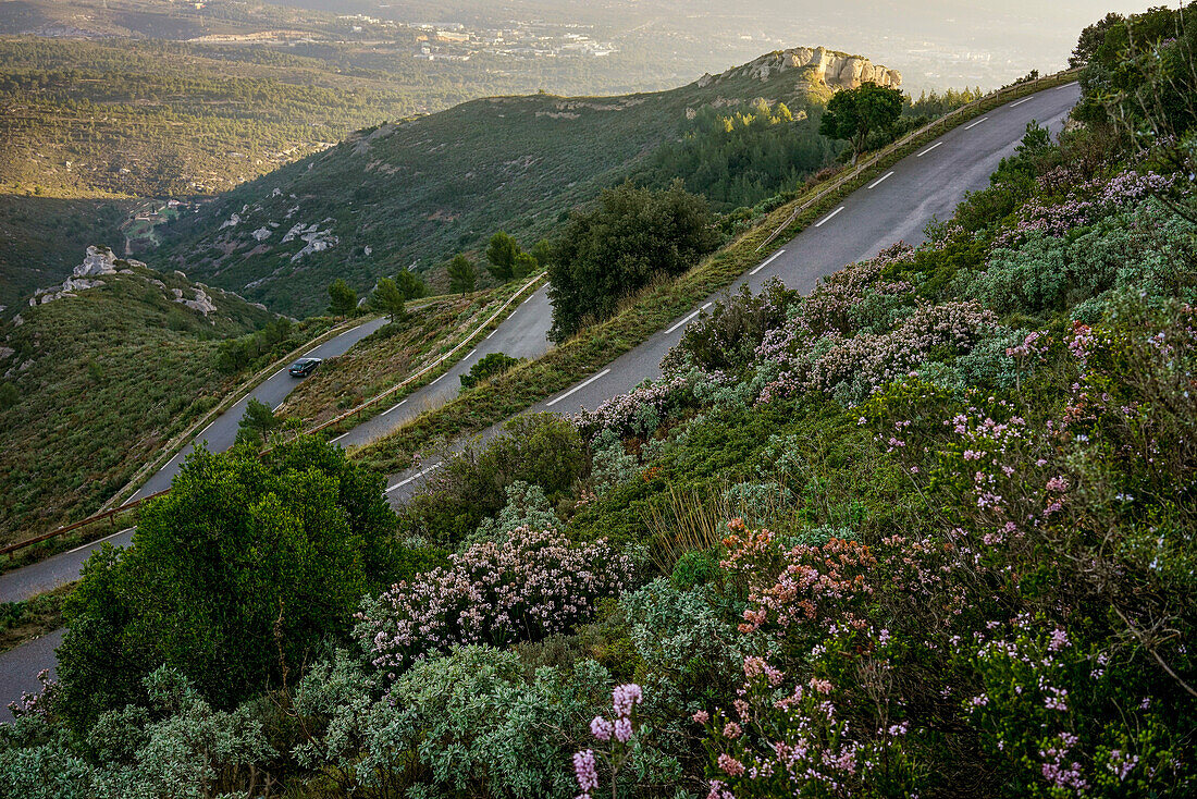 Blick auf eine sinuous szenische Straße in der Garrigue bei Sonnenaufgang mit Blumen im Vordergrund im Winter in Südfrankreich