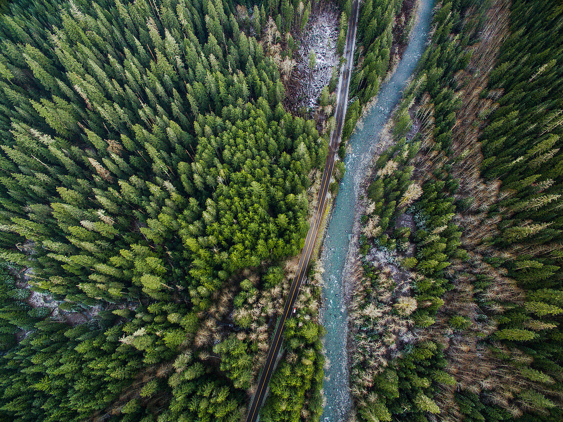 Aerial view of a country road and a blue stream running through an evergreen forest