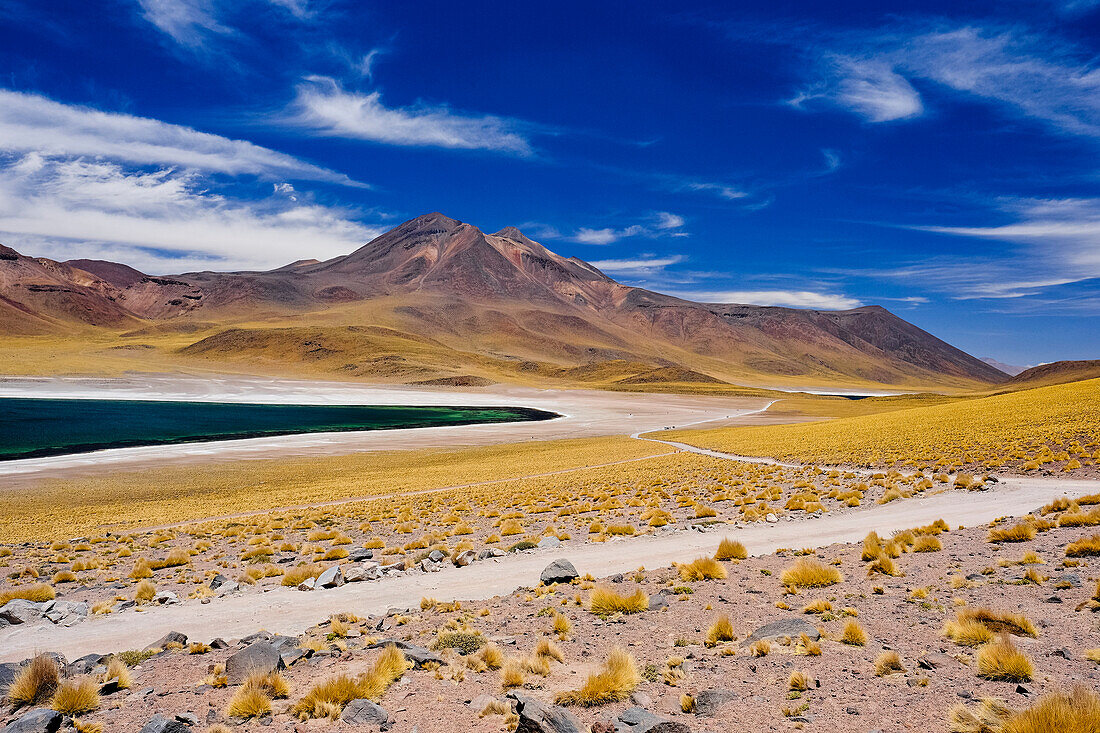 Laguna Miscanti in Atacama Desert, Chile