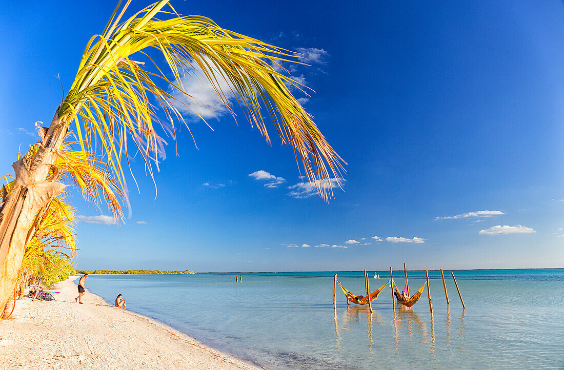 Tourists sunbathing on beach of Holbox next to some hammocks, Holbox Island, Cancun, Yucatan, Mexico