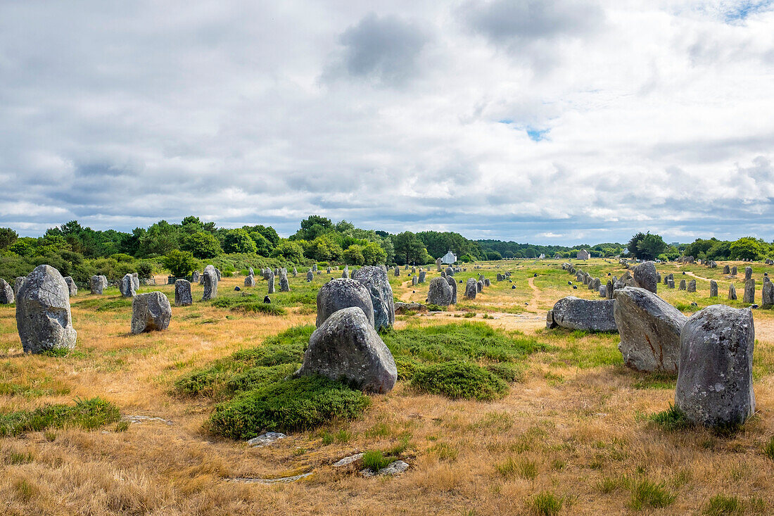 Neolithische Megalithen bei Alignements de Carnac, Bretagne, Frankreich