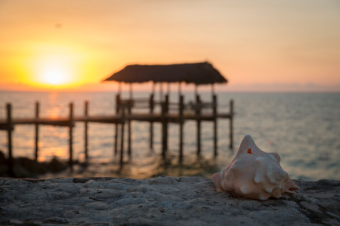 Beautiful view of conch shell and pier on beach at sunset, Nassau, Bahamas