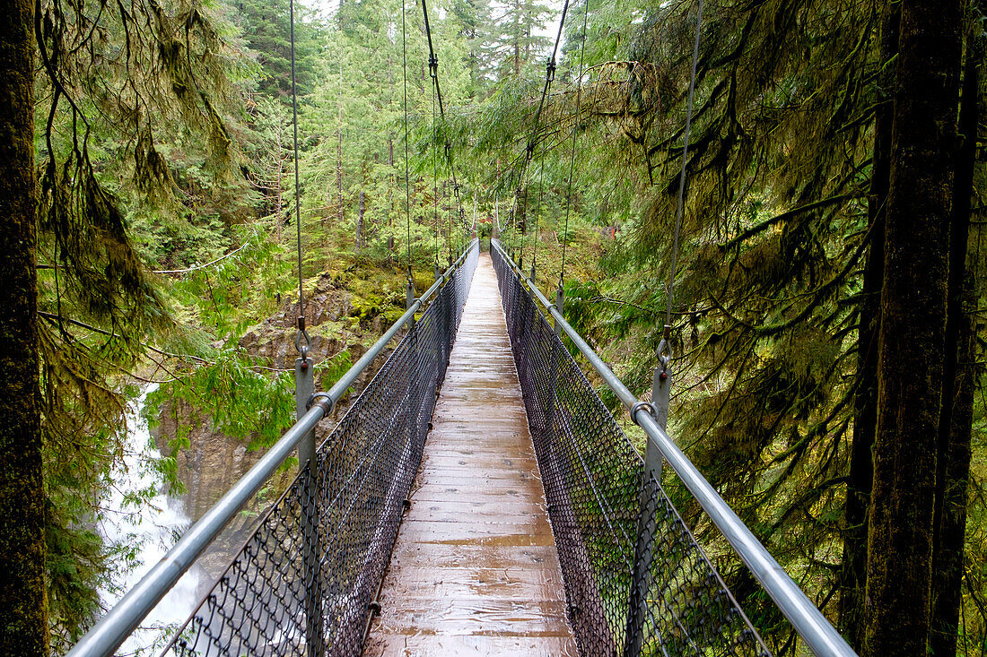 Narrow suspension bridge over Drift Creek Falls stream, Oregon, USA