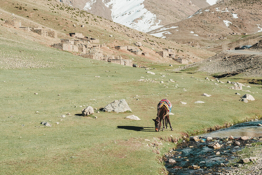 Pferd essen Gras am Fluss im Atlasgebirge, Oukaimeden, Marokko