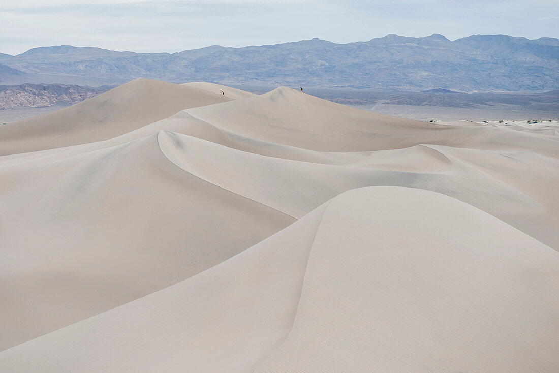 Mesquite flache Sanddünen im Death Valley National Park, Kalifornien, USA