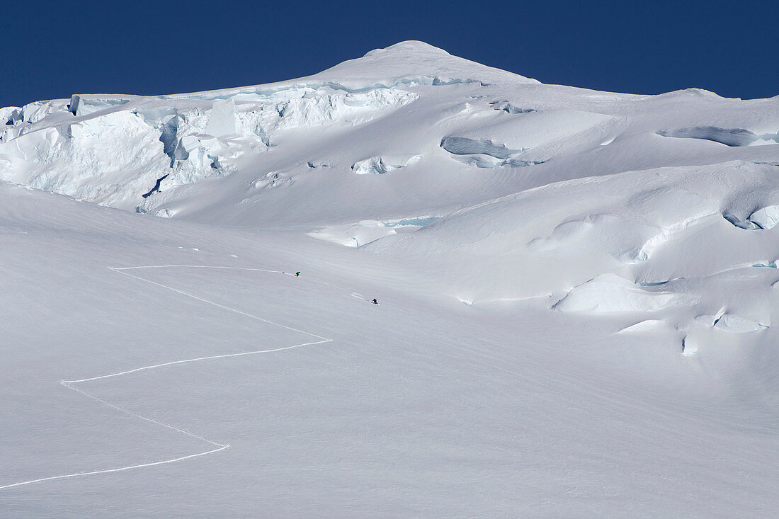 Mountaineers are skiing down a slope at 12.000 feet on Denali, Alaska.
