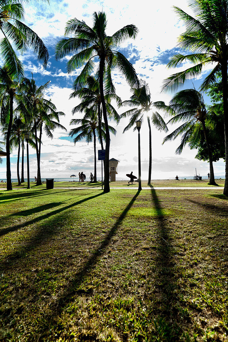 Late Afternoon Silhouettes am Waikiki Beach in Honolulu