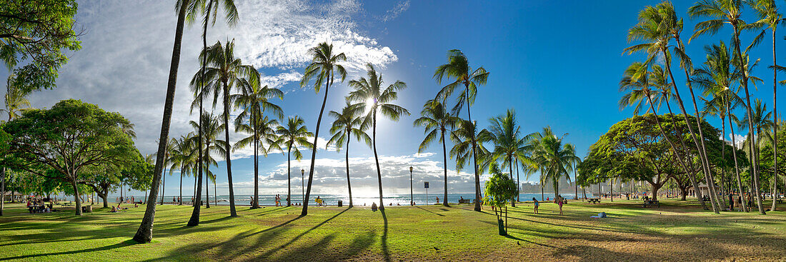 Panoramic View Of Palm Trees At Waikiki Beach In Honolulu
