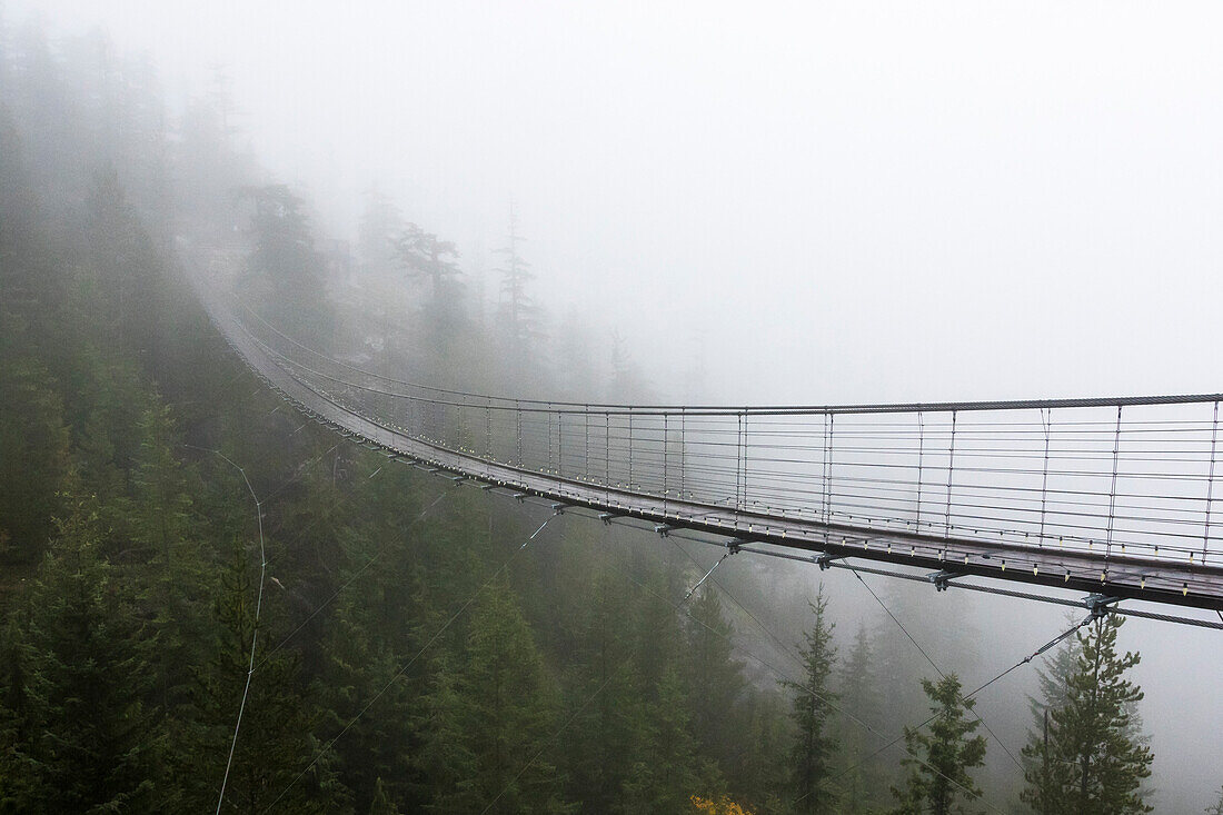 A Misty suspension bridge, Squamish, British Columbia.