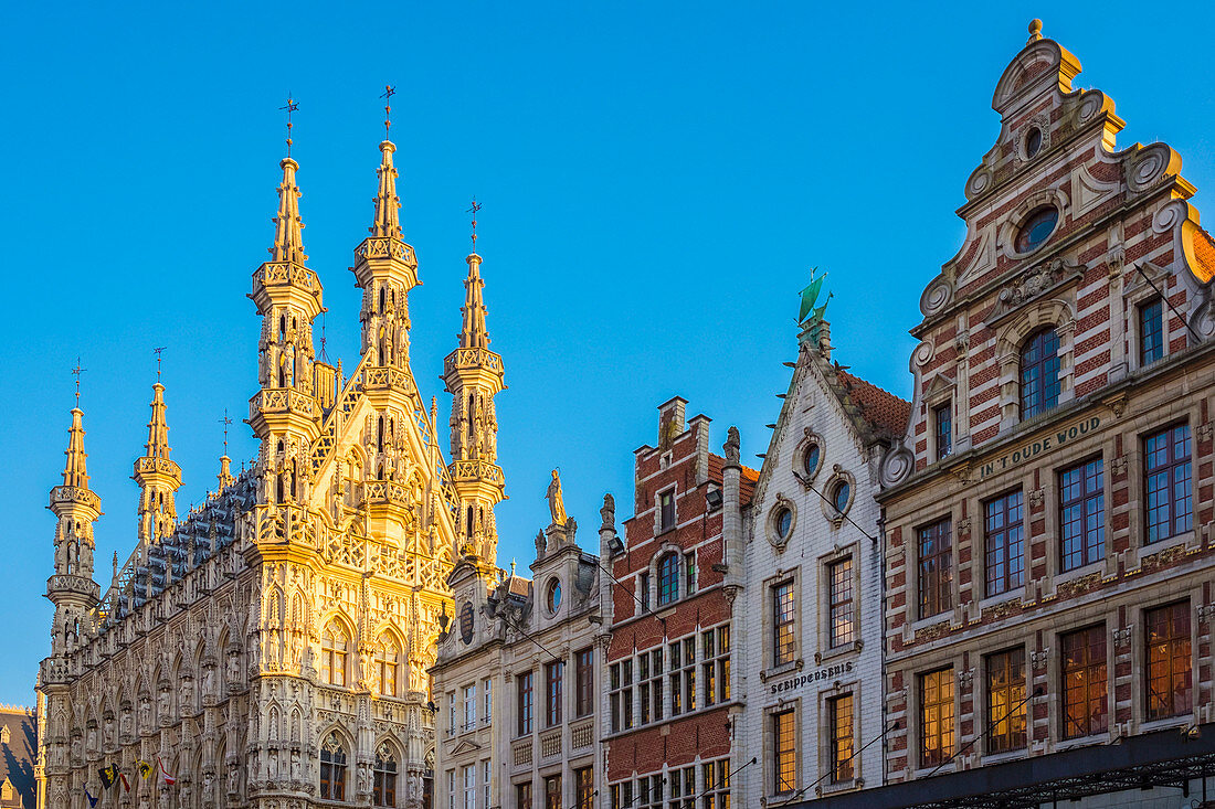 Das Rathaus und die flämischen Gebäude in Löwen, Flämisch-Brabant, Flandern, Belgien