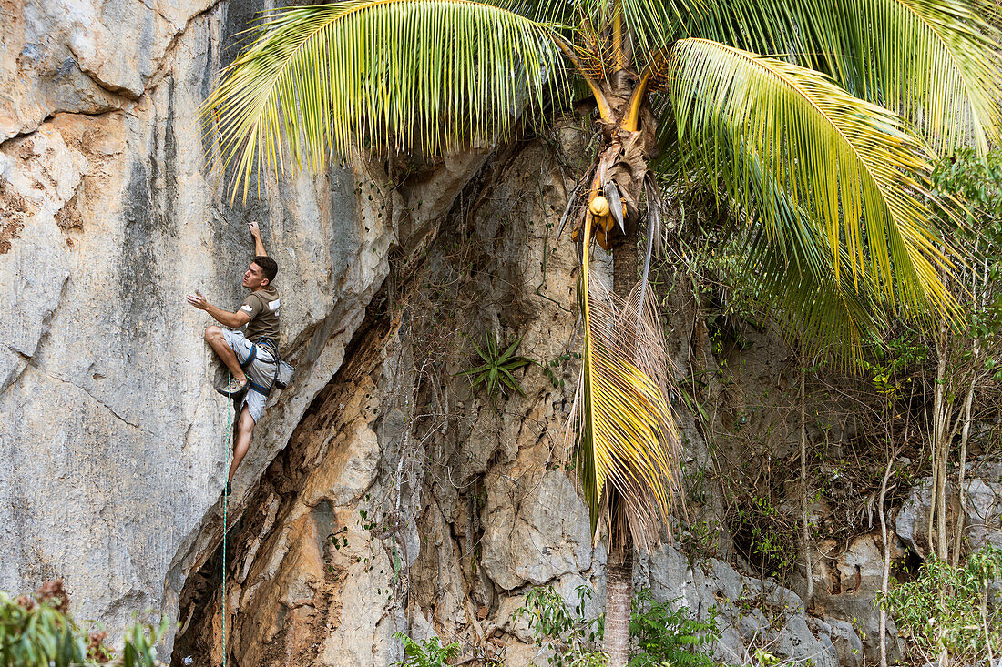 Ein lokales kubanisches Kletterseil klettert eine Klippe in Vinales, Kuba.