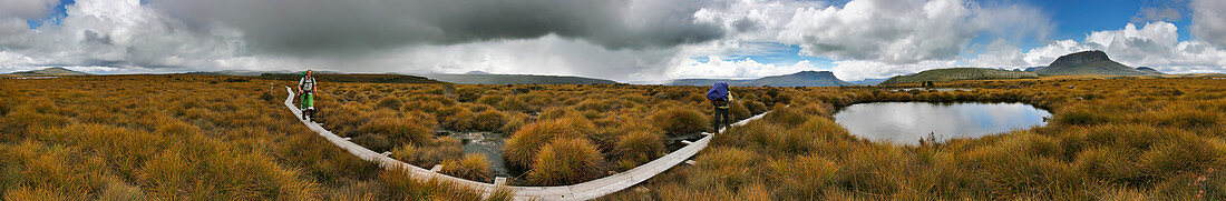 Wanderer auf dem Walkboard in Overland Track von Tasmanien
