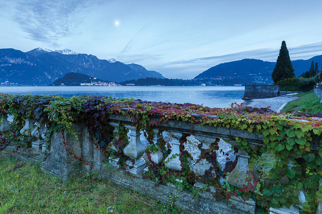 Terrace on the lake from Cadenabbia With view over Bellagio , Lombardy, Italy