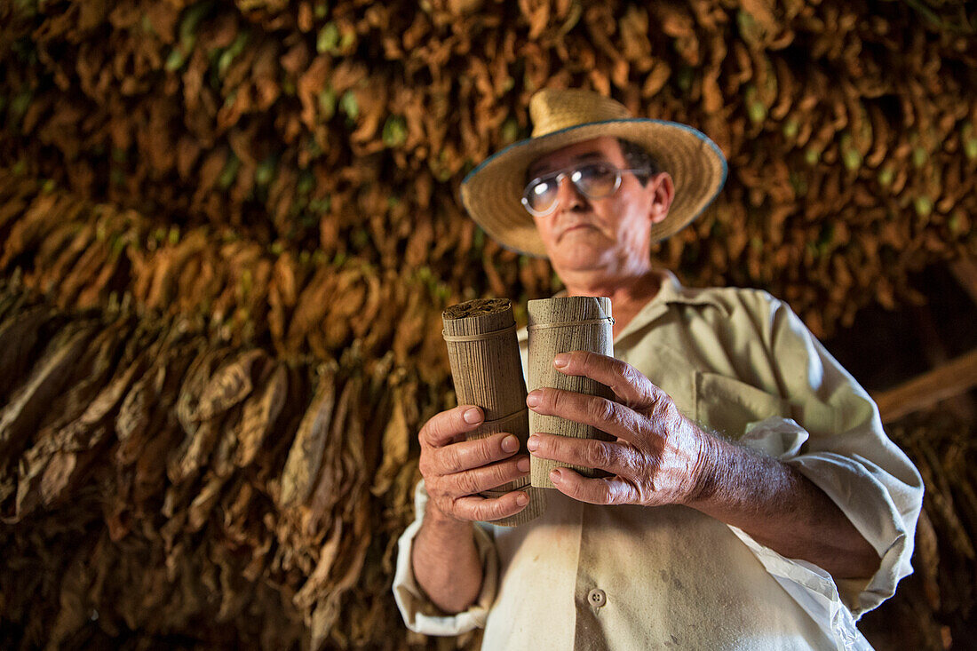 Kuba, Kuba, Mittelamerika, Karibik, Havanna, Tabakfarm in Pinal dal Rio, Mann bei der Arbeit