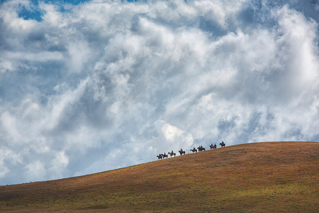 Europe,Italy,Umbria,Perugia district, Castelluccio di Norcia Sibillini Ranch