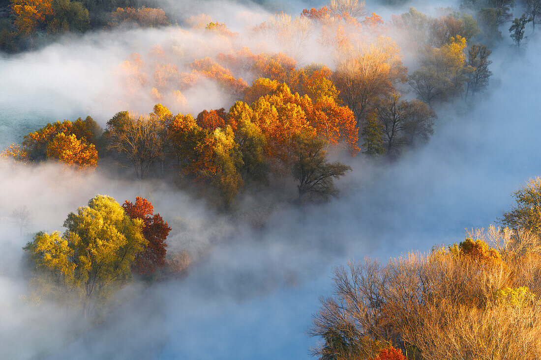 The mists of Adda river, Airuno, park Adda Nord, Lecco province, Brianza, Lombardy, Italy, Europe