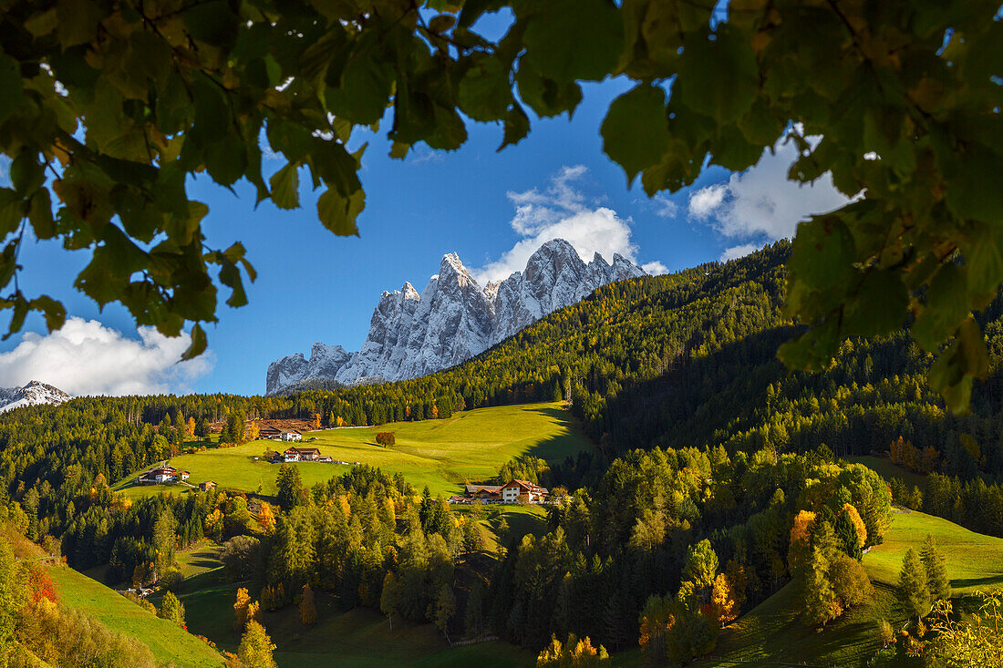 Blätter Rahmen der Funes Tal, Odle Dolomiten, Südtirol Region, Trentino Alto Adige, Provinz Bozen, Italien, Europa