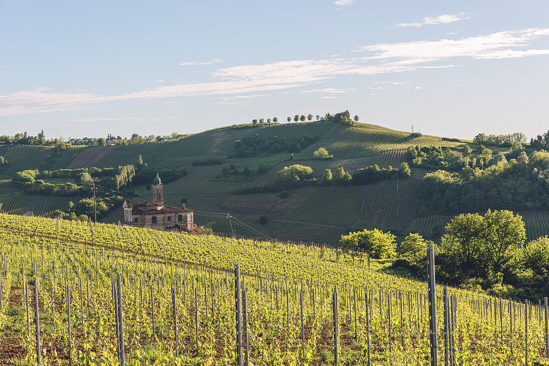 Oltrepo Pavese, Province of Pavia, Lombardy, Italy