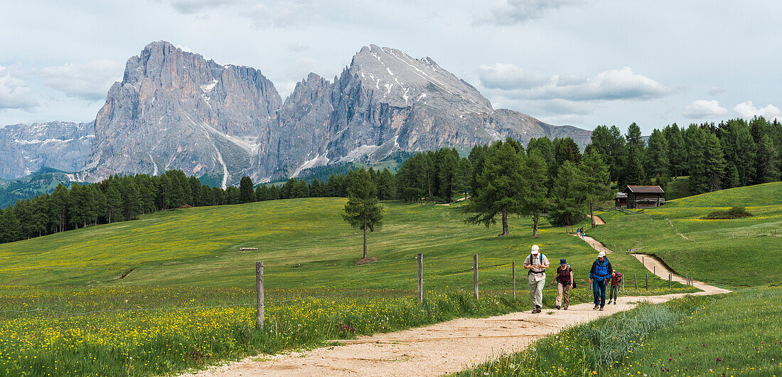 Alpe di Siusi/Seiser Alm, Dolomites, South Tyrol, Italy